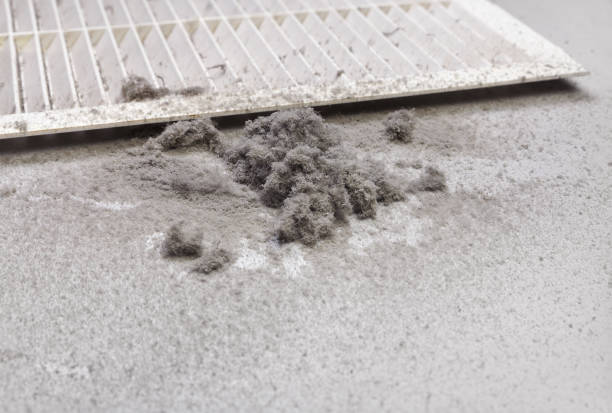 Best Residential Air Duct Cleaning  in Essex, IL