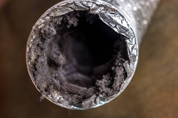Best Air Duct Cleaning Near Me  in Essex, IL