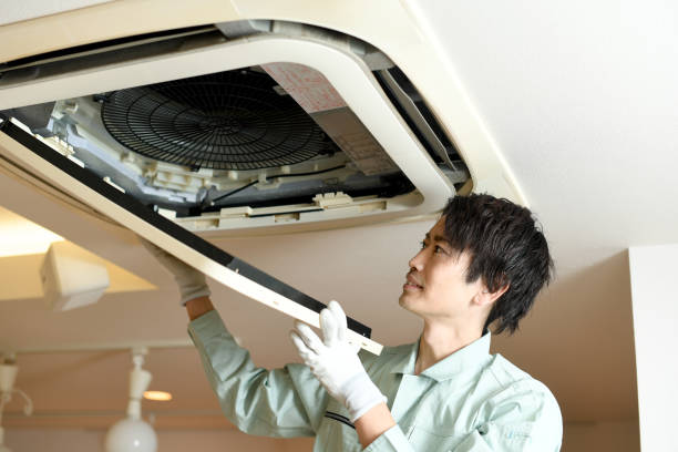 Best Residential Air Duct Cleaning  in Essex, IL
