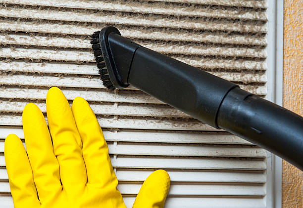 Best Local Air Duct Cleaning Services  in Essex, IL