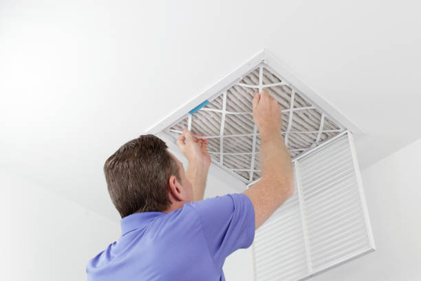 Best Air Quality Test  in Essex, IL